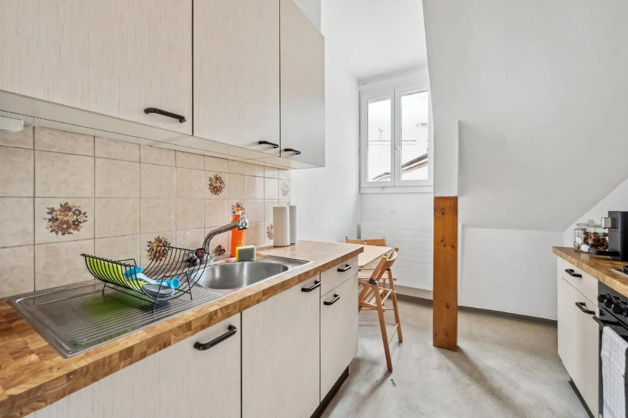 Central Apartment For City Explorers 222 Zürich